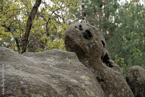 Rochers, Gorges de Franchard, Forêt de Fontainebleau, Seine et Marne, 78 photo