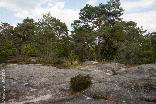 Rochers, Gorges de Franchard, Forêt de Fontainebleau, Seine et Marne, 78 photo