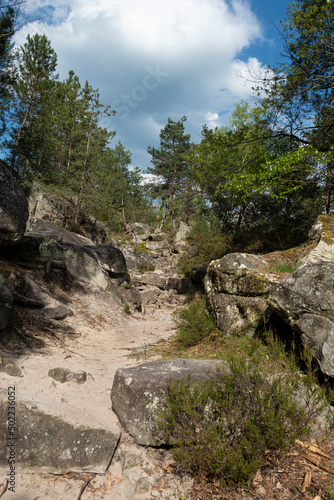 Rochers, Gorges de Franchard, Forêt de Fontainebleau, Seine et Marne, 78