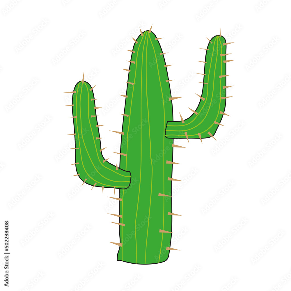 Cactus, a succulent native to Latin and North America Cactus, a succulent native to Latin and North America