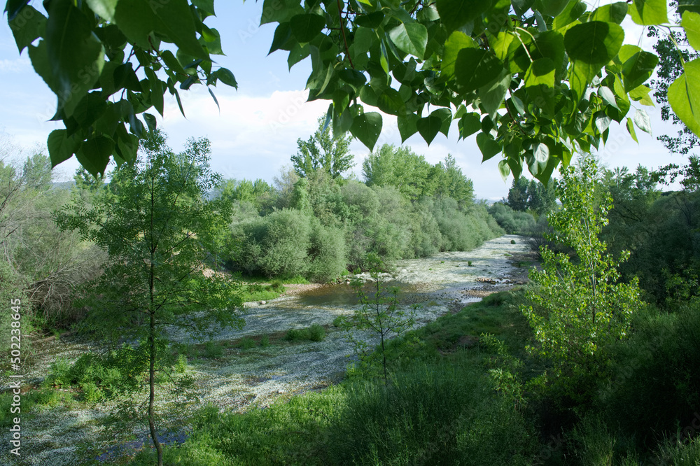 Obraz na płótnie krajobraz rzeka woda drzewa natura widok w salonie