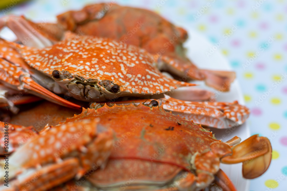 Steamed crab in plate Steamed crab in plate
