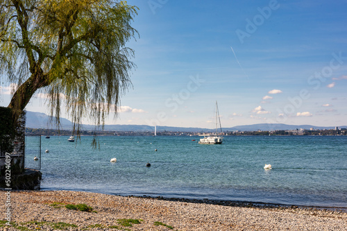 Gen  ve depuis le  Port de Bellerive