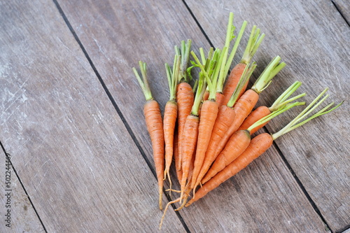 Fresh carrots grown on organic farm put on wooden background Fresh vegetables - carrots contain antioxidants. Which helps to slow down aging, can be used to cook a variety of foods,raw,juicing,dessert