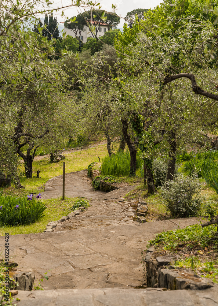 Fototapeta premium path of stone steps in in old Italian garden surrounded by trees 