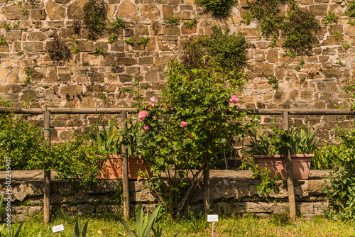 old stone wall and pink flowers 