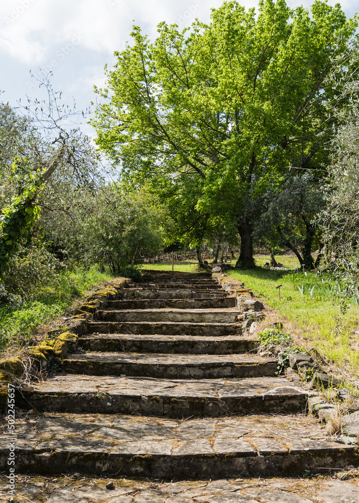 path of old stone steps in botanical garden in Florence, Italy 