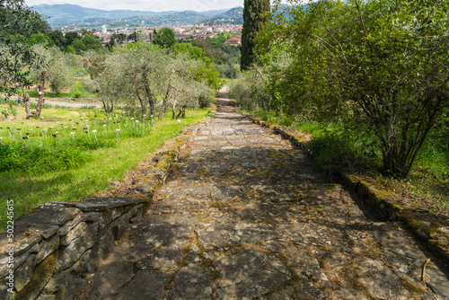 old stone path at botanical garden in Florence  Italy 