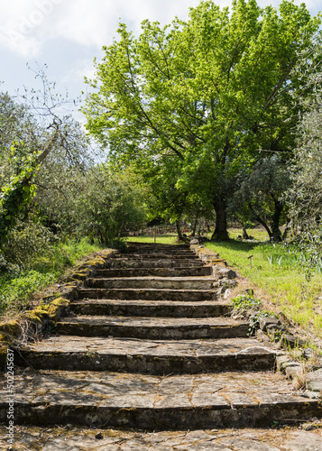 path of old stone steps in botanical garden in Florence  Italy 