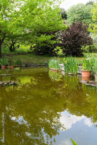 Fototapeta Naklejka Na Ścianę i Meble -  pond lake in botanical iris garden in Florence, Italy in Spring 