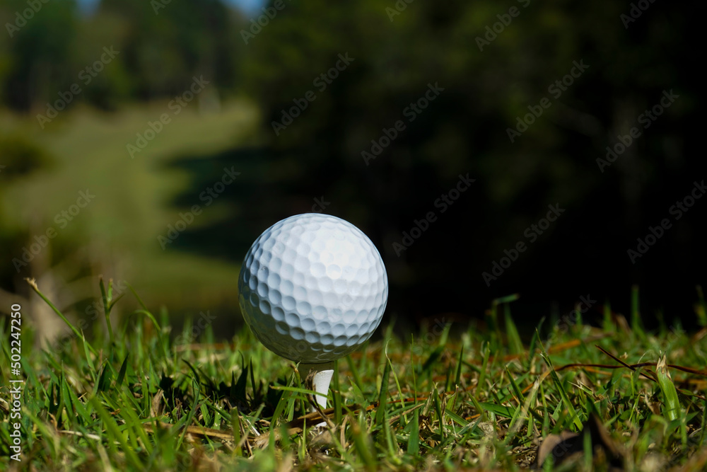 Golf ball is on tee at green lawn in a beautiful golf course with morning sunshine.Ready for golf in the first short. Golf ball is on tee at green lawn in a beautiful golf course with morning sunshine.Ready for golf in the first short.
