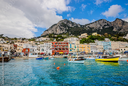 Obraz na plátne Le port de Capri