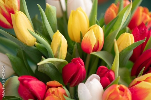 Close-up of a bouquet of tulips