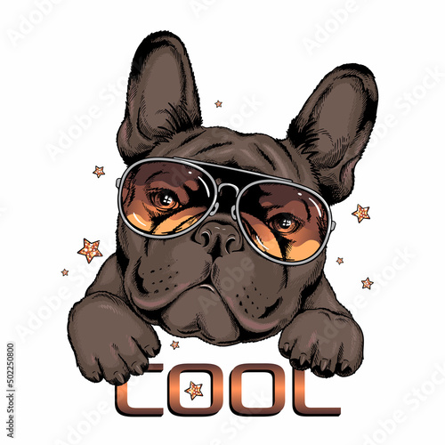 French bulldog in sunglasses. Vector illustration in hand-drawn style . Image for printing on any surface