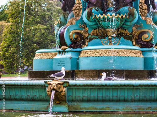 fountain in the park