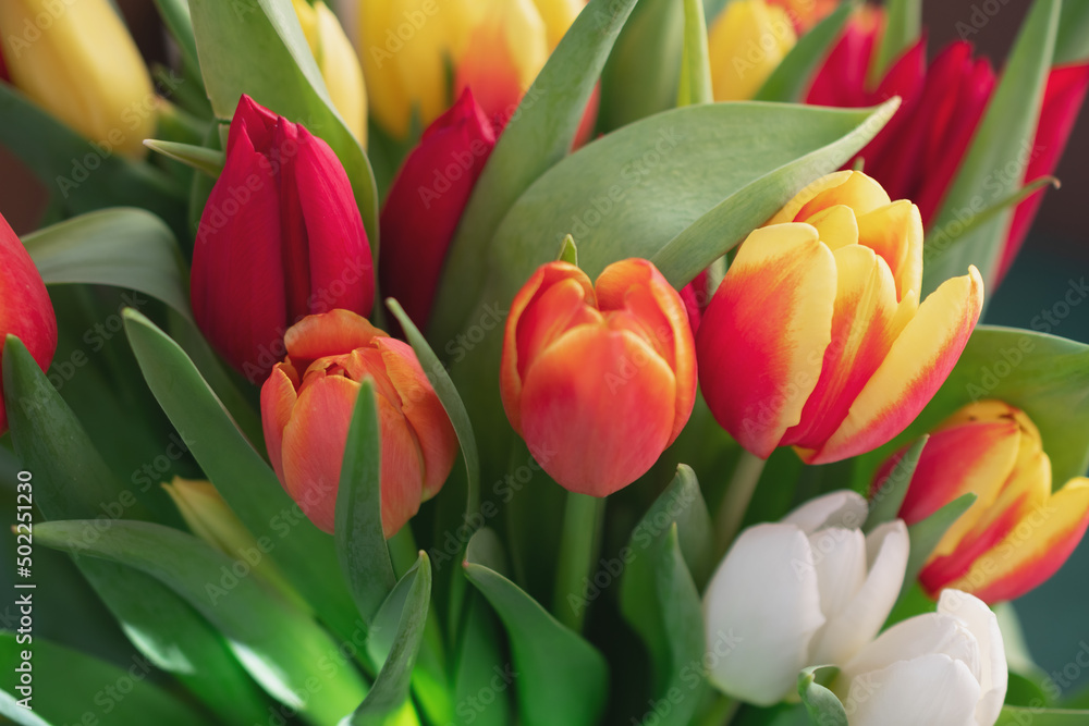 Close-up of a bouquet of tulips Close-up of a bouquet of tulips