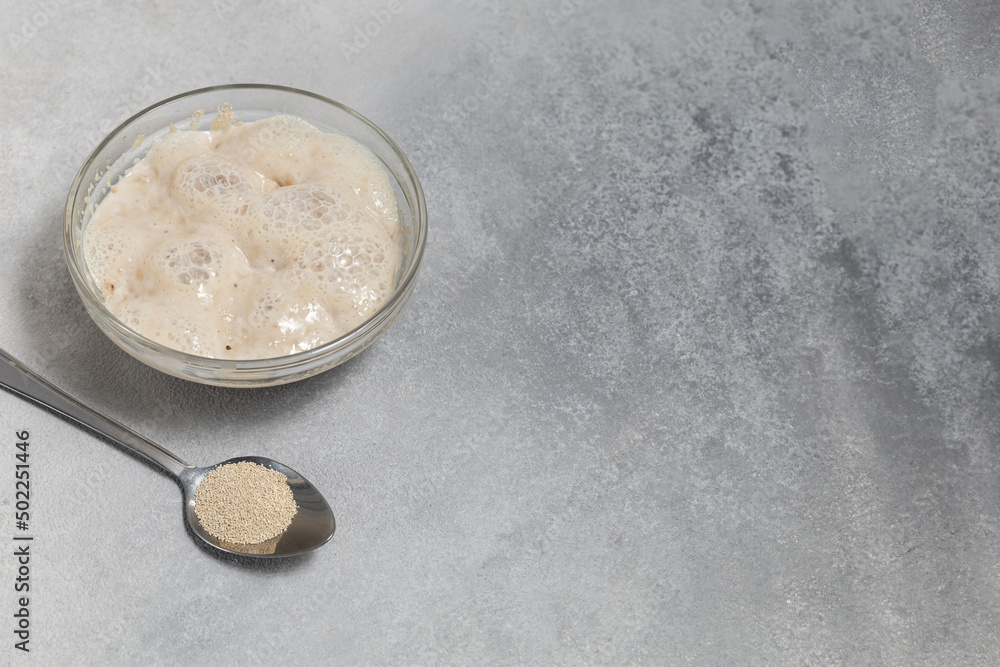 A bowl of yeast fermentation and a spoon with dry yeast on a light background A bowl of yeast fermentation and a spoon with dry yeast on a light background