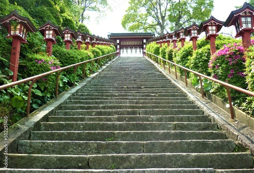 篠崎八幡神社の石段 photo