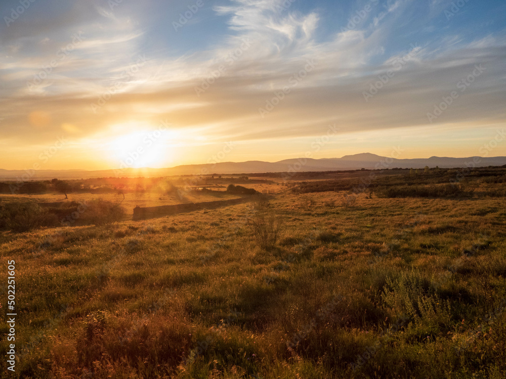 Sunset in the meadow of Extremadura Sunset in the meadow of Extremadura