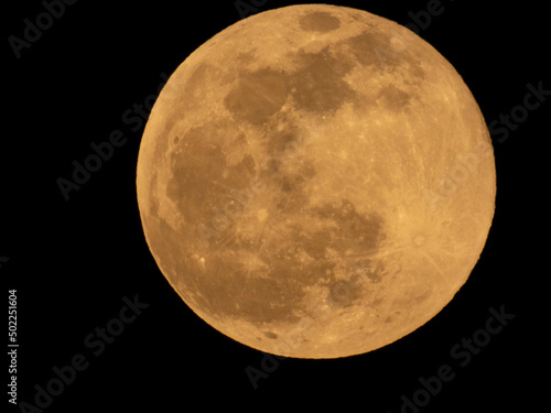 Fototapeta Moon on a spring night