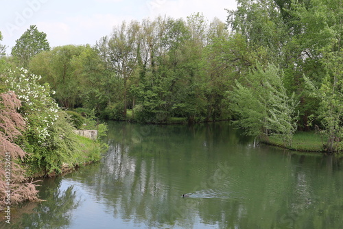 La rivi  re Voiselle dans Bourges  ville de Bourges  d  partement du Cher  France