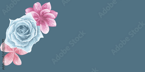 Pink rose on turquoise editable printable background © Norhan
