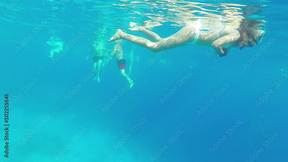 People snorkel underwater and take pictures of coral and fish. Overall plan People snorkel underwater and take pictures of coral and fish. Overall plan