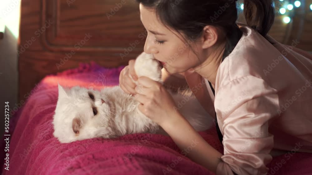 Pregnant woman is petting her pet. Gentle handling of the cat. The concept of medicine, gynecology and allergies during pregnancy. The girl strokes a cute cat in her arms. Pregnant woman is petting her pet. Gentle handling of the cat. The concept of medicine, gynecology and allergies during pregnancy. The girl strokes a cute cat in her arms.