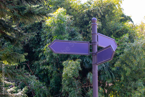 Road signs of directions in a tropical park against the backdrop of tropical trees. Street direction signs. Mocap. Place for text.