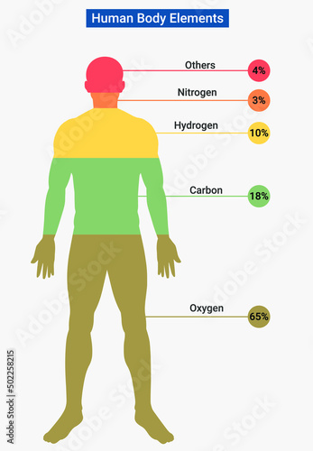 Composition of the human body (Human body elements)