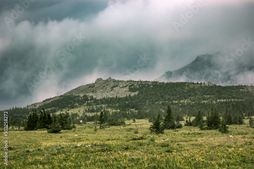 Cloudy mountain and green forest