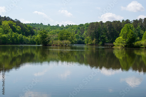 Little Mulberry Park  GA Lake Reflection