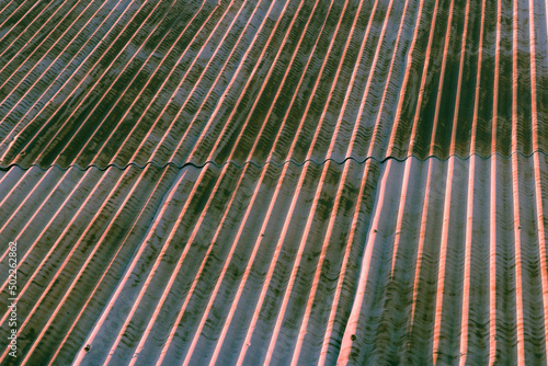 rusty corrugated metal plates on the roof of an old outhouse in the evening light of the golden hour