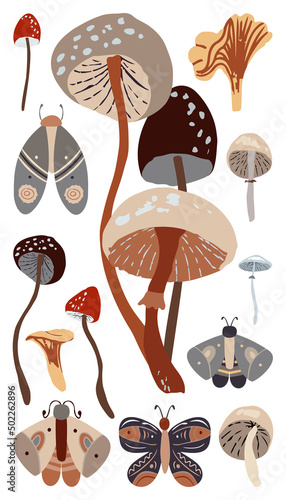 Autumn design in flat style, natural fall elements. Hand-drawn moths and mushrooms clipart. Isolated vector illustration on white background for postcards, textiles, websites and social media