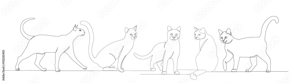 cats drawing by one continuous line, vector
