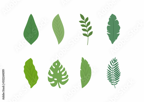 vector illustration, set of various tropical plant leaves on a white isolated background. vector foliage collection. elements for natural pattern © Асель Иржанова