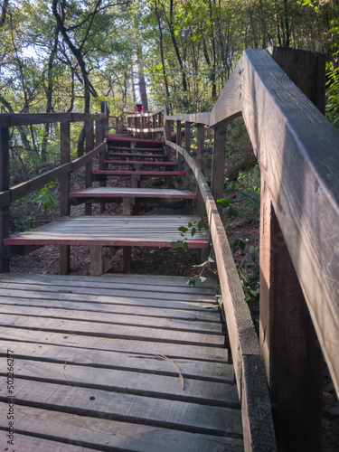 escaleras de madera, parque ecológico chipinque photo