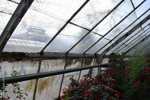 greenhouse interior, glass, plants, structure, building, structure