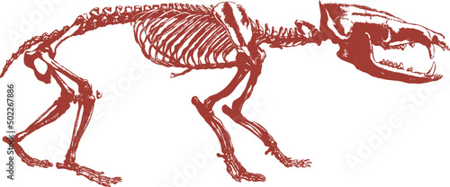 Squelette animal, vecteur pour conception graphique. 