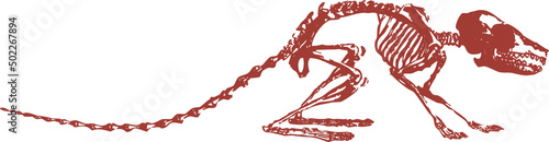 Squelette animal, vecteur pour conception graphique. 