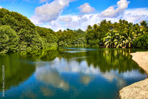 horizontal picture of a lake wih tropical forest in the background and blue sky and white clouds, reflections in the water and sand on the side in puerto escondido oaxaca 