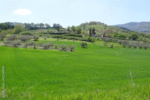 vicoli