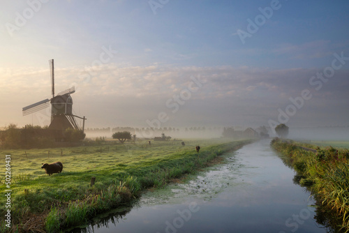 Windmill the Wingerdse Molen near Bleskensgraaf photo