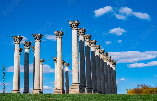 U.S. National Arboretum Columns