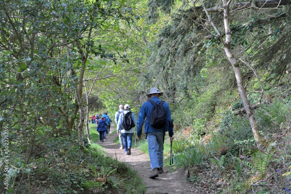 Fototapeta premium Hiking along the Guindy river in Brittany-France