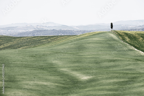 Crete Senesi rural landscape. Green fields of Tuscany near Siena, Italy, Europe