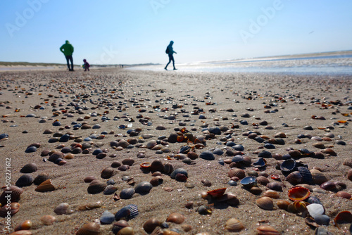 Many shells in the Netherlands