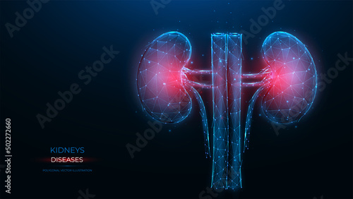 Polygonal vector illustration of an inflamed human kidney on a dark blue background. Diseases of the organs of the excretory system concept. Urological or nephrological template, or banner. photo