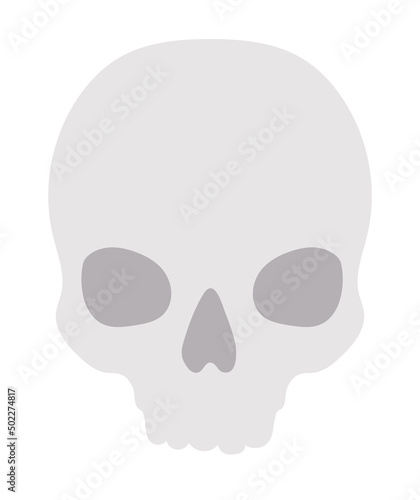 head skull illustration