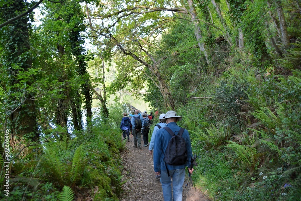 Hiking along the Guindy river in Brittany-France Hiking along the Guindy river in Brittany-France